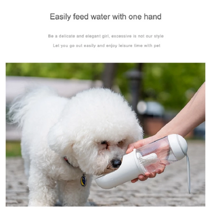 Tragbarer Wasserspender für Haustiere, Hunde und Katzen für unterwegs