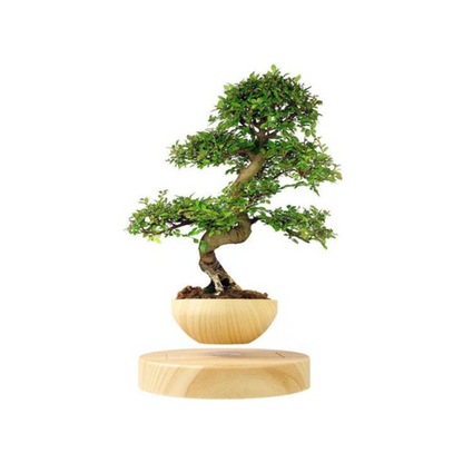 Schwebender Blumentopf