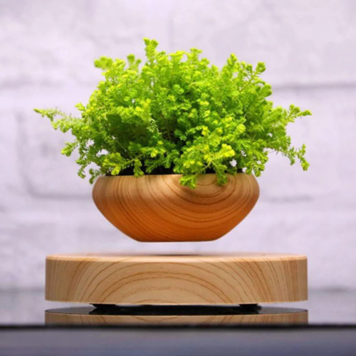 Schwebender Blumentopf