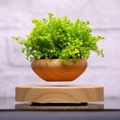 Schwebender Blumentopf